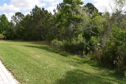 Villa ou maison à vendre à San Antonio, Floride: 3 chambres, 167.13 m2 № 1723173 - photo 29