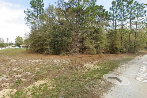 Terrain à vendre à Ocala, Floride № 1673124 - photo 4