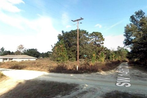 Terrain à vendre à Ocala, Floride № 1673124 - photo 5