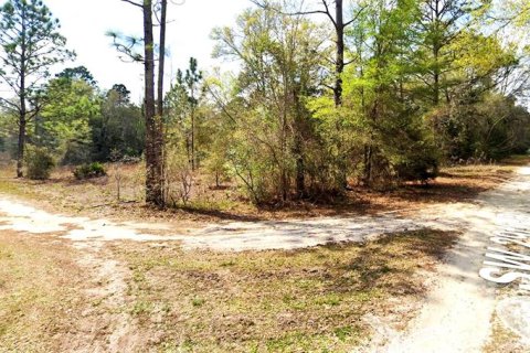 Terrain à vendre à Ocala, Floride № 1673124 - photo 6