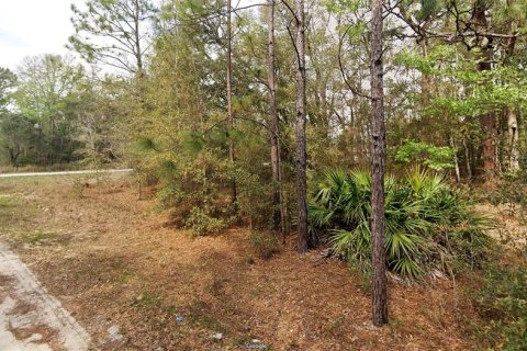 Terrain à vendre à Ocala, Floride № 1673124 - photo 2