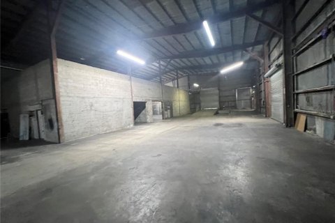 Commercial property in Tampa, Florida 3895.95 sq.m. № 2278044 - photo 15