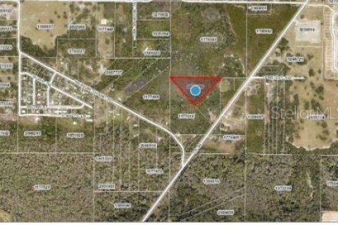 Land in Leesburg, Florida № 1653461 - photo 3
