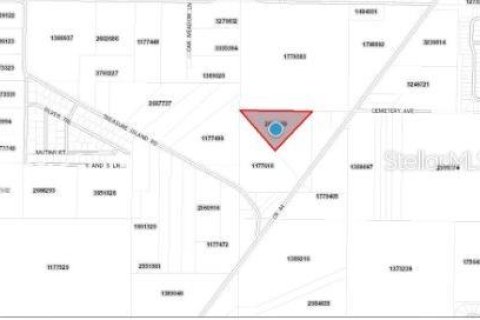 Land in Leesburg, Florida № 1653461 - photo 2