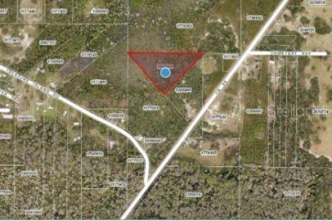 Land in Leesburg, Florida № 1653461 - photo 5