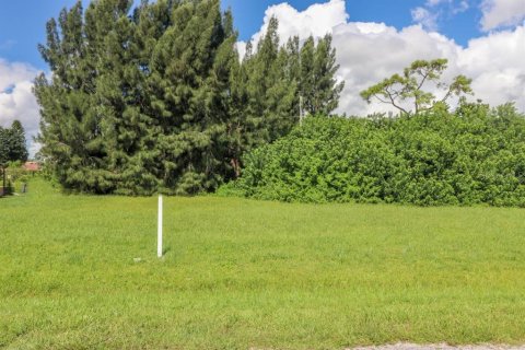 Land in North Port, Florida № 213420 - photo 9