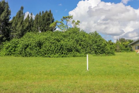 Land in North Port, Florida № 213420 - photo 8