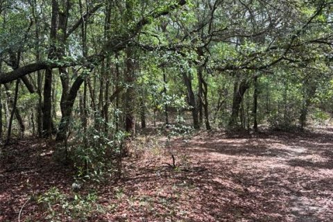 Land in Bronson, Florida № 2158711
