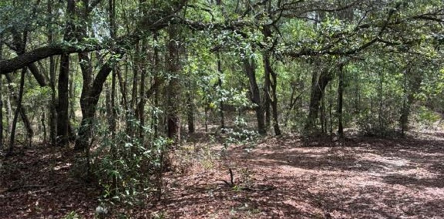 Land in Bronson, Florida № 2158711