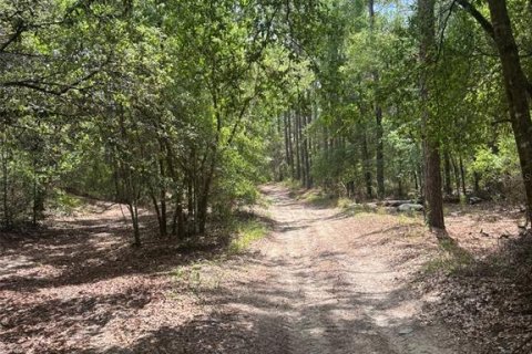 Land in Bronson, Florida № 2158711 - photo 5