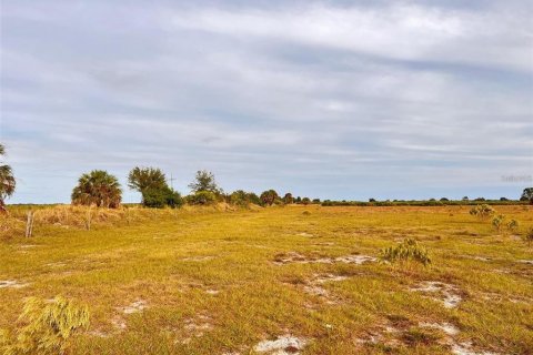 Land in Punta Gorda, Florida № 1564311 - photo 5