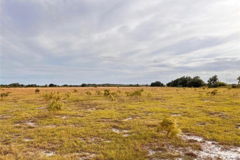Land in Punta Gorda, Florida № 1564311 - photo 12