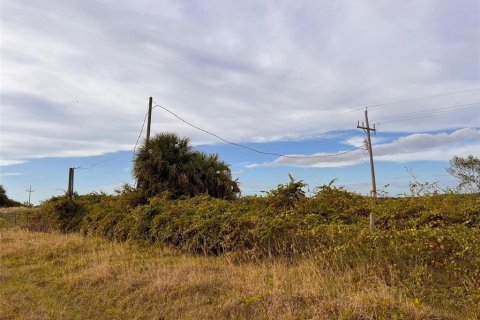 Land in Punta Gorda, Florida № 1564311 - photo 10