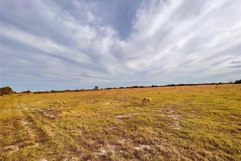 Land in Punta Gorda, Florida № 1564311 - photo 13