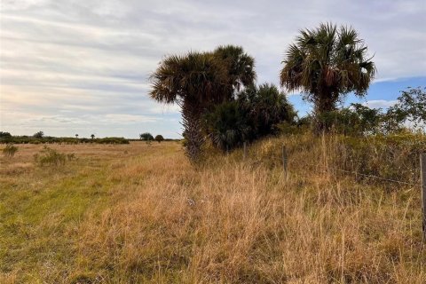Land in Punta Gorda, Florida № 1564311 - photo 9