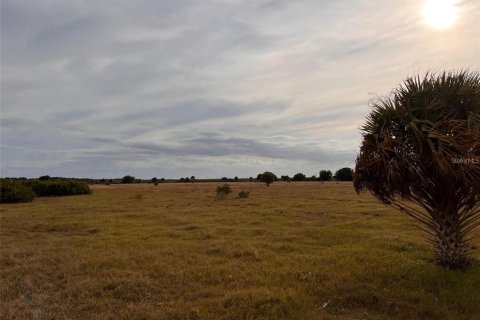 Land in Punta Gorda, Florida № 1564311 - photo 11