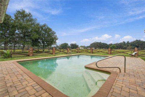 Villa ou maison à vendre à Bowling Green, Floride: 3 chambres, 303.42 m2 № 2425400 - photo 29