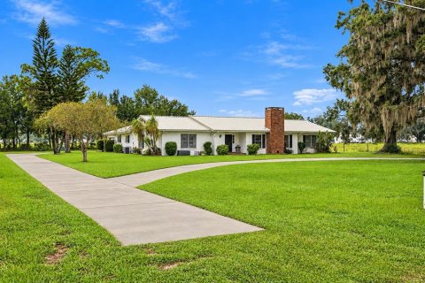 Villa ou maison à vendre à Bowling Green, Floride: 3 chambres, 303.42 m2 № 2425400 - photo 2