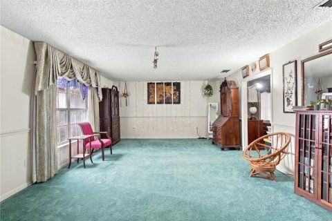 Villa ou maison à vendre à Bowling Green, Floride: 3 chambres, 303.42 m2 № 2425400 - photo 20