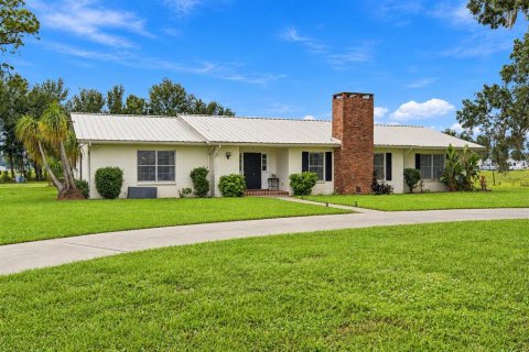 Villa ou maison à vendre à Bowling Green, Floride: 3 chambres, 303.42 m2 № 2425400 - photo 4