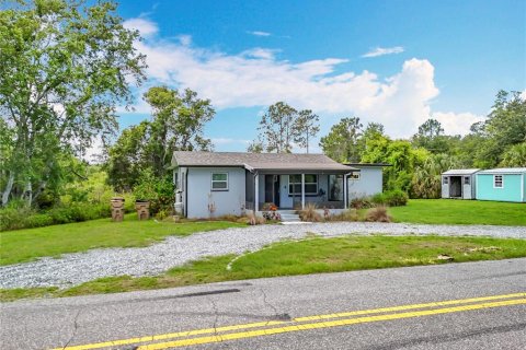 House in Howey-in-the-Hills, Florida 3 bedrooms, 82.96 sq.m. № 1725248 - photo 5