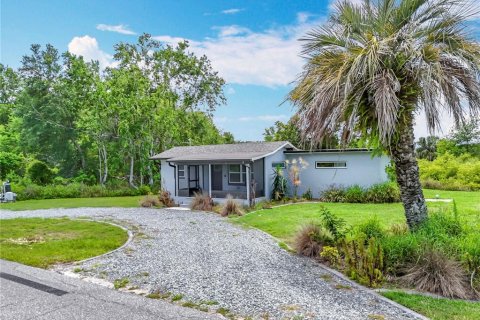 House in Howey-in-the-Hills, Florida 3 bedrooms, 82.96 sq.m. № 1725248 - photo 7