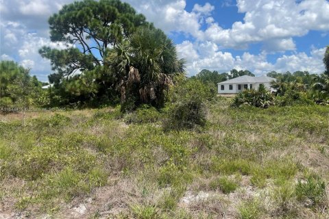 Terreno en venta en Lehigh Acres, Florida № 2088914 - foto 4