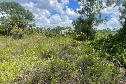 Terrain à Lehigh Acres, Floride № 2088914