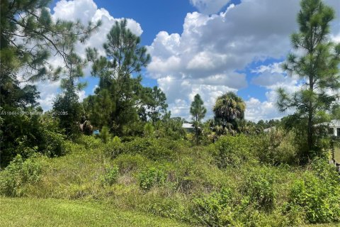 Terreno en venta en Lehigh Acres, Florida № 2088914 - foto 5