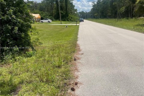 Terreno en venta en Lehigh Acres, Florida № 2088914 - foto 6