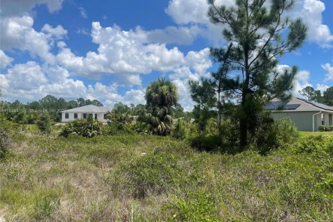 Terreno en venta en Lehigh Acres, Florida № 2088914 - foto 2