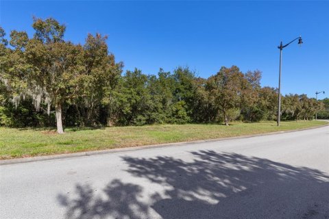 Terreno en venta en Palm Coast, Florida № 1562656 - foto 4