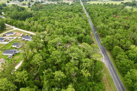 Terrain à vendre à Ocala, Floride № 2219328 - photo 4