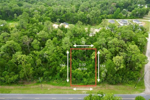 Land in Ocala, Florida № 2219328