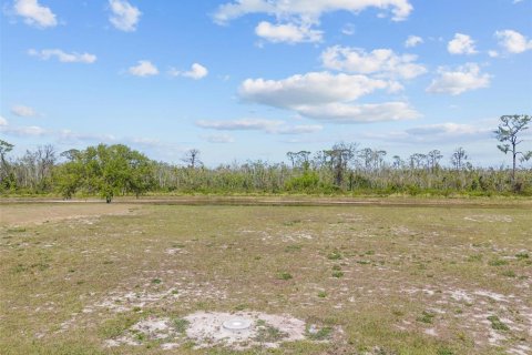 Terrain à vendre à Auburndale, Floride № 1593218 - photo 3