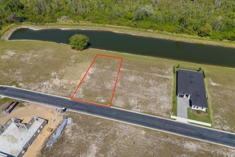Terrain à vendre à Auburndale, Floride № 1593218 - photo 8