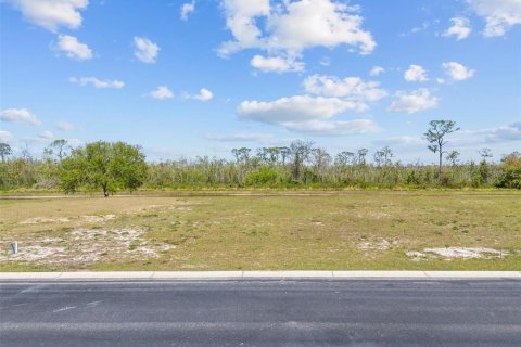 Terrain à vendre à Auburndale, Floride № 1593218 - photo 2