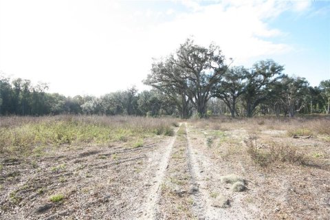 Terreno en venta en Citra, Florida № 2299612 - foto 5