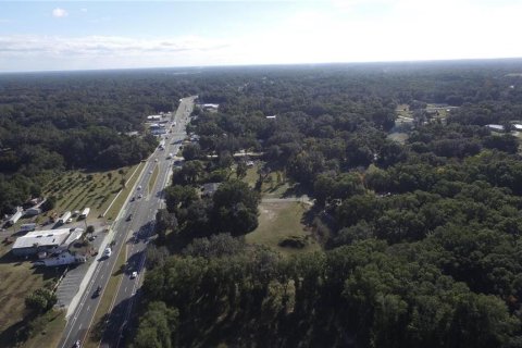 Terreno en venta en Citra, Florida № 2299612 - foto 2