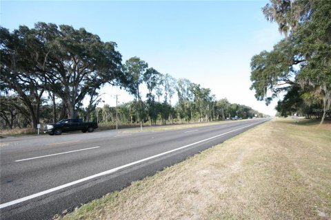 Terreno en Citra, Florida № 2299612