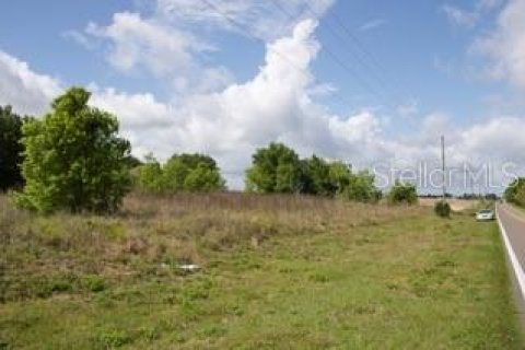 Land in Haines City, Florida № 2118184 - photo 2