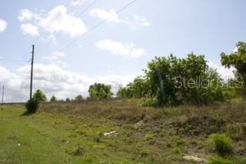 Land in Haines City, Florida № 2118184 - photo 3