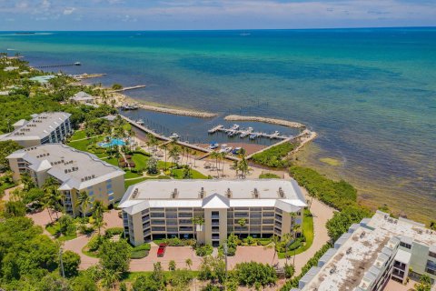 Condo à Islamorada, Village of Islands, Floride, 2 chambres  № 2147074