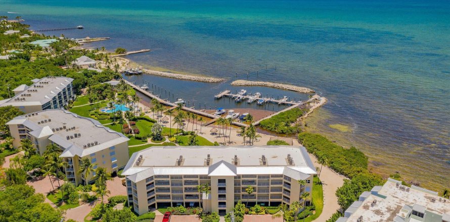 Condo à Islamorada, Village of Islands, Floride, 2 chambres № 2147074