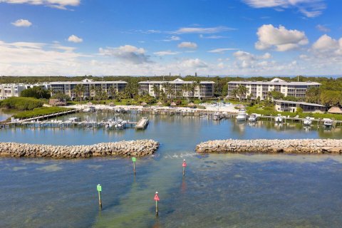 Copropriété à vendre à Islamorada, Village of Islands, Floride: 2 chambres, 160.91 m2 № 2147074 - photo 30