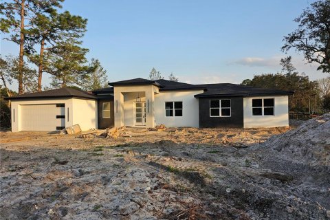 Villa ou maison à vendre à Eustis, Floride: 4 chambres, 247.12 m2 № 1510709 - photo 1