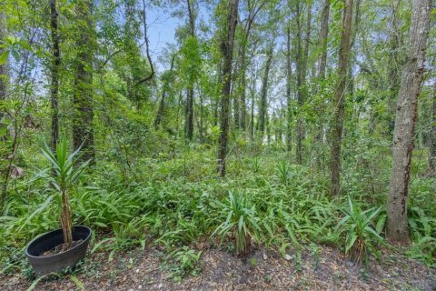 Touwnhouse à vendre à Gainesville, Floride: 2 chambres, 107.02 m2 № 2373040 - photo 24