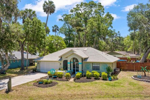 Villa ou maison à vendre à Palm Coast, Floride: 3 chambres, 135.73 m2 № 1680606 - photo 1