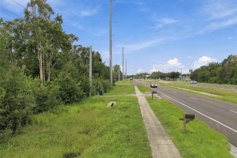 Land in Lutz, Florida № 2414940 - photo 20