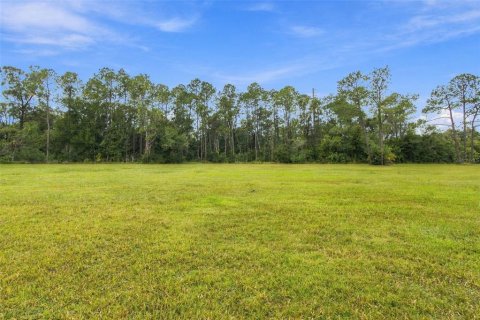 Land in Lutz, Florida № 2414940 - photo 12